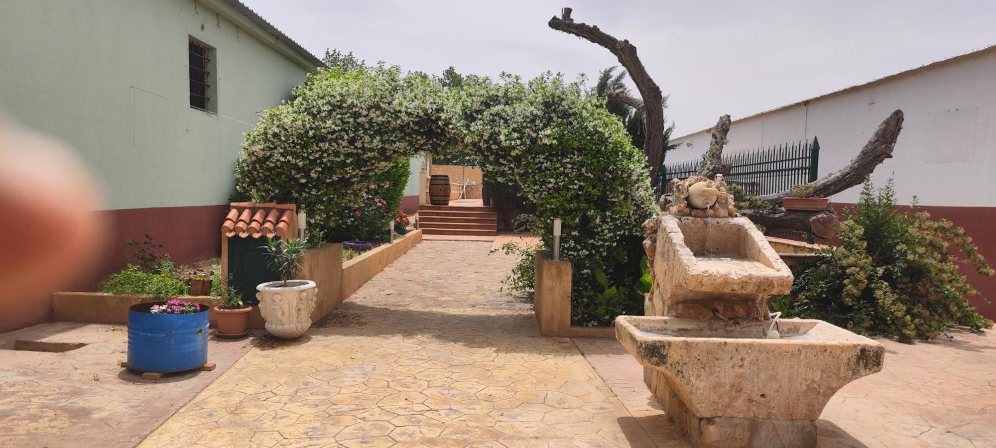 Casa Rural El Tejar Сан Клементе Екстериор снимка
