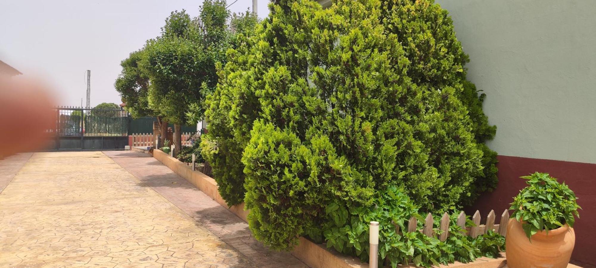 Casa Rural El Tejar Сан Клементе Екстериор снимка