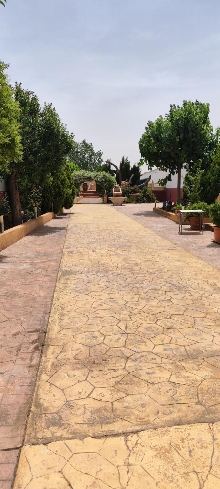 Casa Rural El Tejar Сан Клементе Екстериор снимка